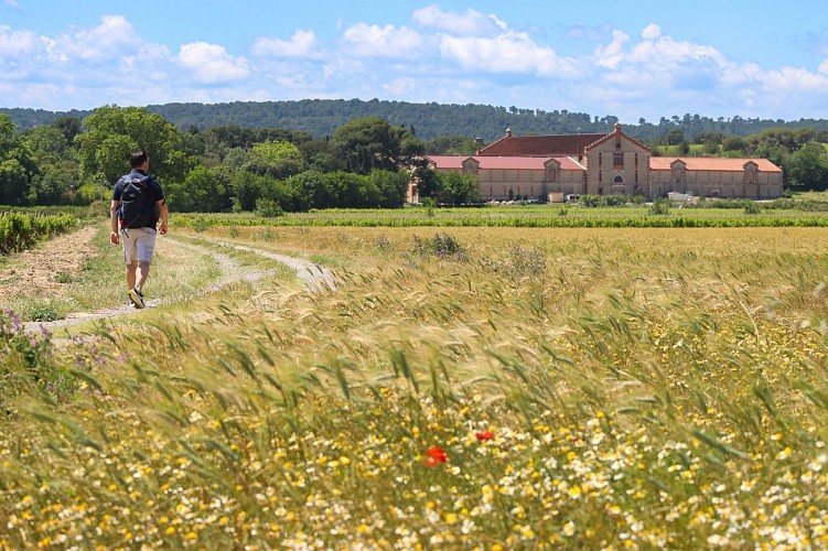 13 / Moussan : l'écluse de Moussoulens