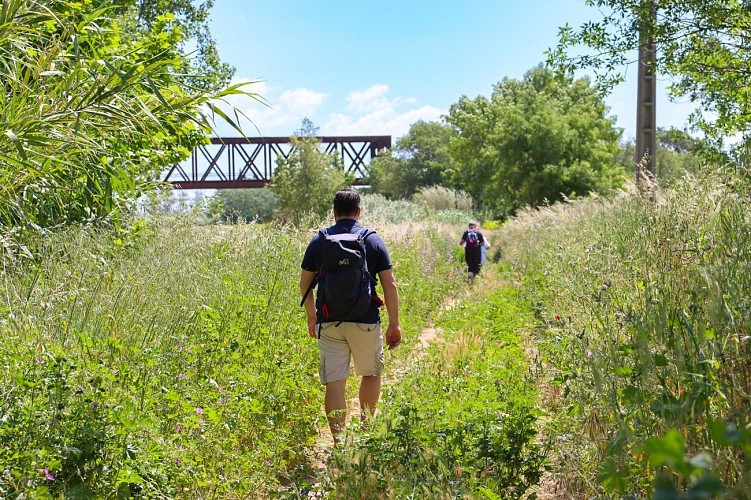 13 / Moussan : l'écluse de Moussoulens