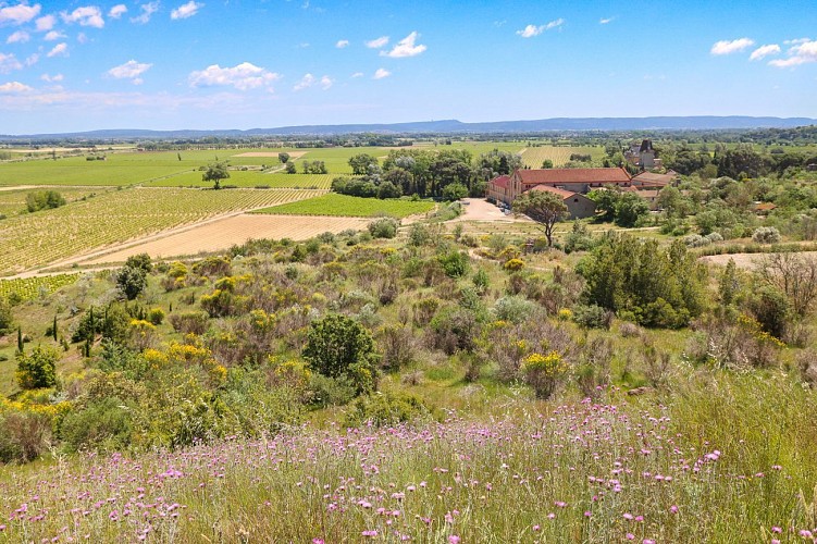 13 / Moussan : l'écluse de Moussoulens