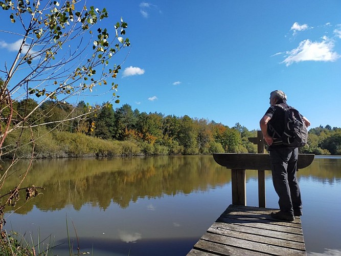 Etang_de_Sologne_Bonde