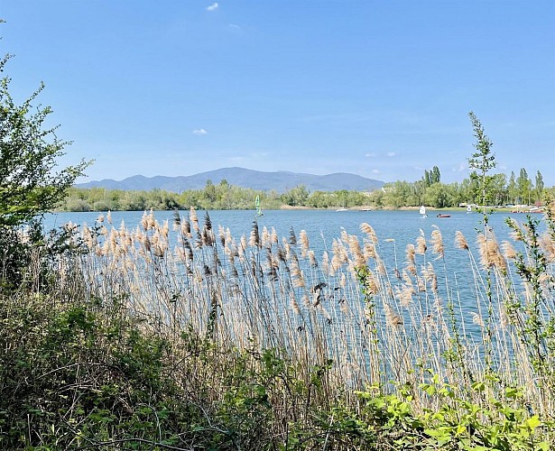 Cyclo - Potasse d'Alsace