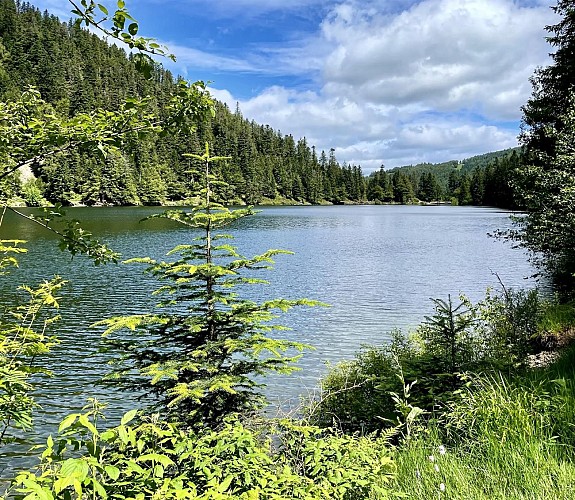 Cyclo - Montagnes secrètes