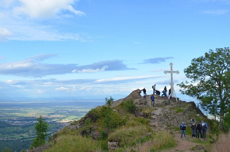 Cyclo - Hartmannswillerkopf