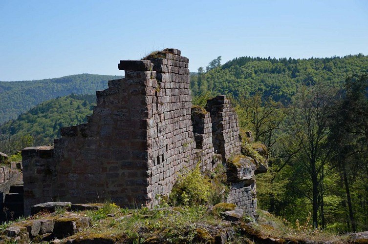 Balade à VTT vers le Schoeneck, Dambach, Alsace