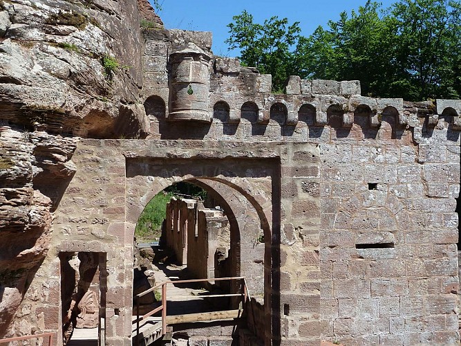 Balade à VTT vers le Schoeneck, Dambach, Alsace