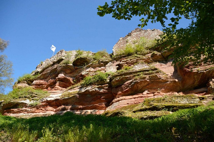 Balade à VTT vers le Schoeneck, Dambach, Alsace