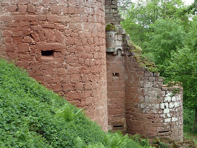 Balade à VTT vers le Schoeneck, Dambach, Alsace