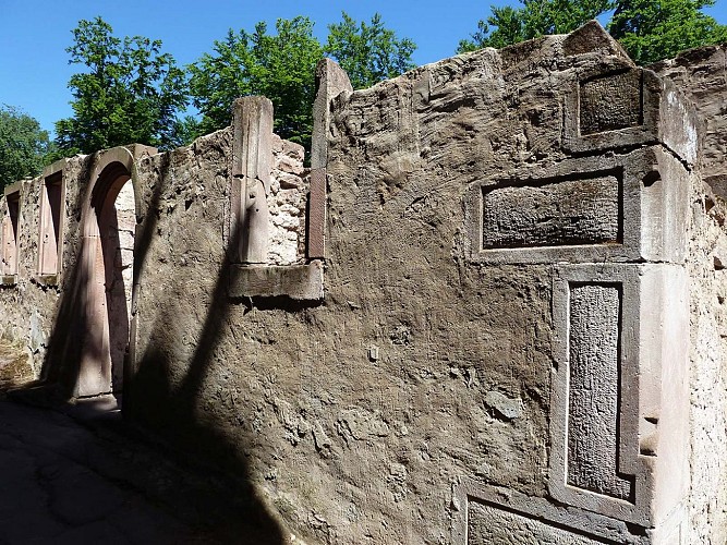 Balade à VTT vers le Schoeneck, Dambach, Alsace