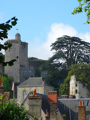 chateau-vendome©ADT41-L-Rothon