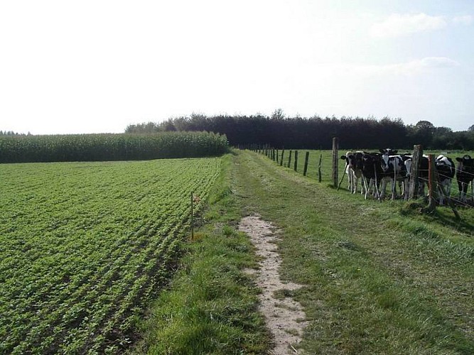 Maulde circuit des pépinières