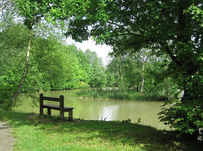 Sentier bocager de Pommereuil