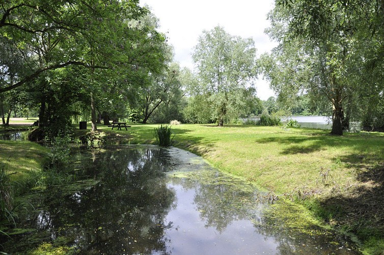 Canal de l'Escaut