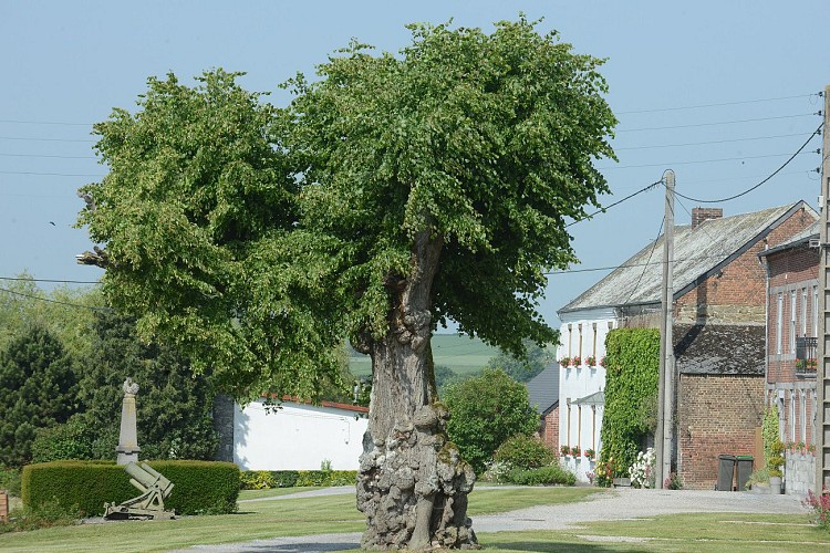 Ferrière-la-Petite Circuit des quatre églises