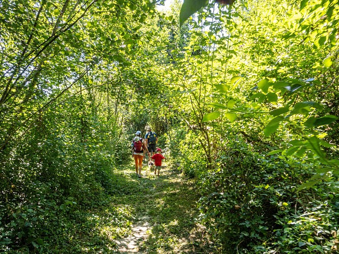 Sentier Envirhôna - Les Avenières-Veyrins-Thuellin - Balcons du Dauphiné - Isère
