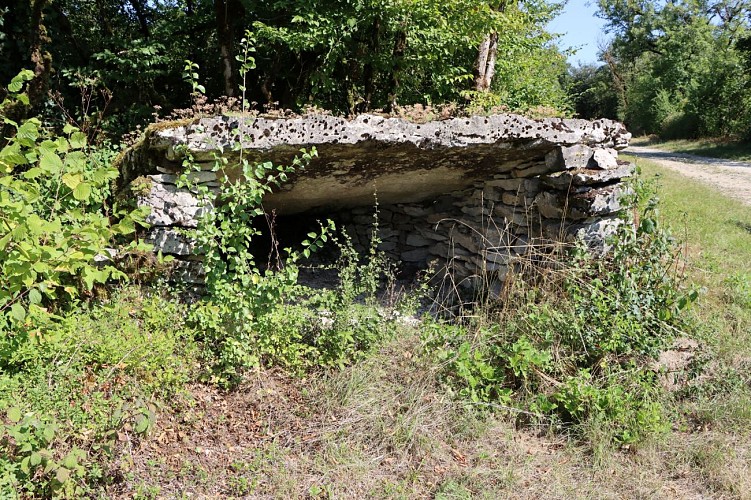Au pays de la pierre, tour de Parmilieu  par le sentier des bigues_Parmilieu