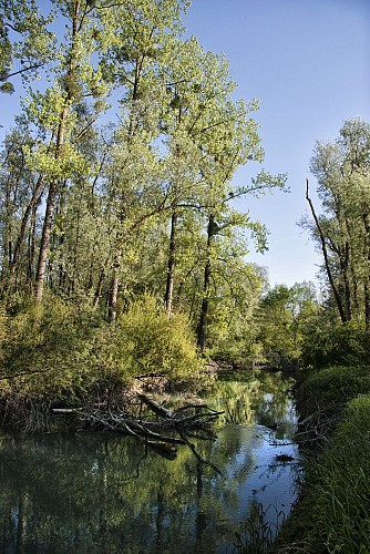Le Rhône - Balcons du Dauphiné