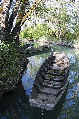 Le Rhône - Balcons du Dauphiné