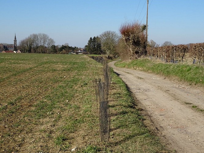 Préseau du ruisseau de Saméon à la Rhonelle