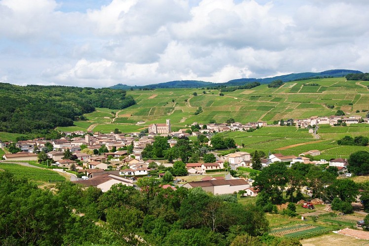 fuisse-village-paysage-amandine-rostaing-macon-sud-bourgogne(0744)