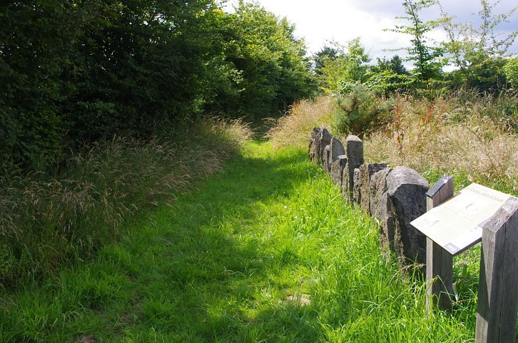 La Tourbière du Pré Maudit
