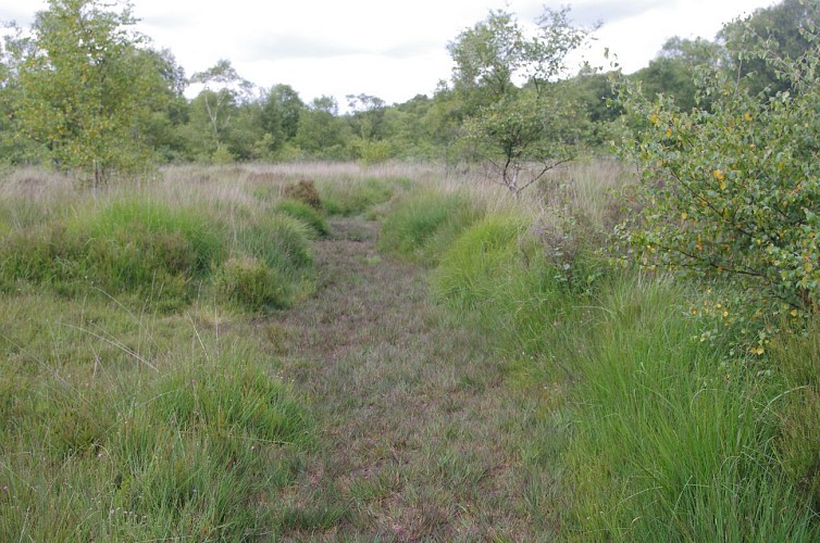 La Tourbière du Pré Maudit