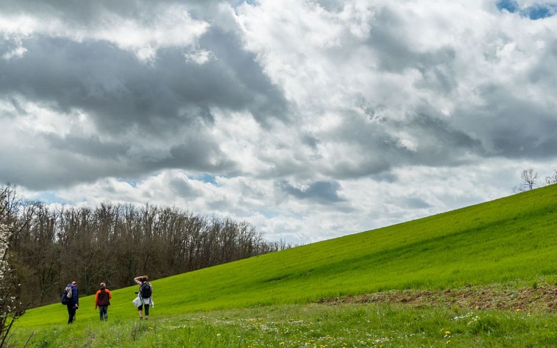 Balade entre village et vignoble