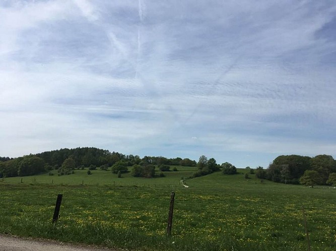 472360589_10170360299040510_3581382546811103599_n