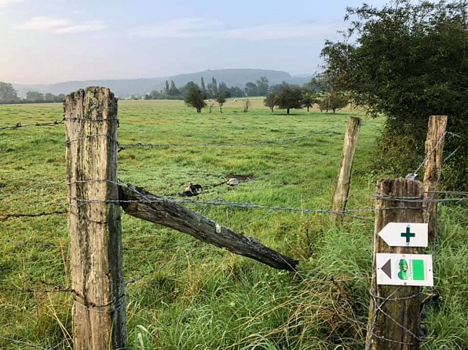 238721352_10165361577845510_27722815545613330_n