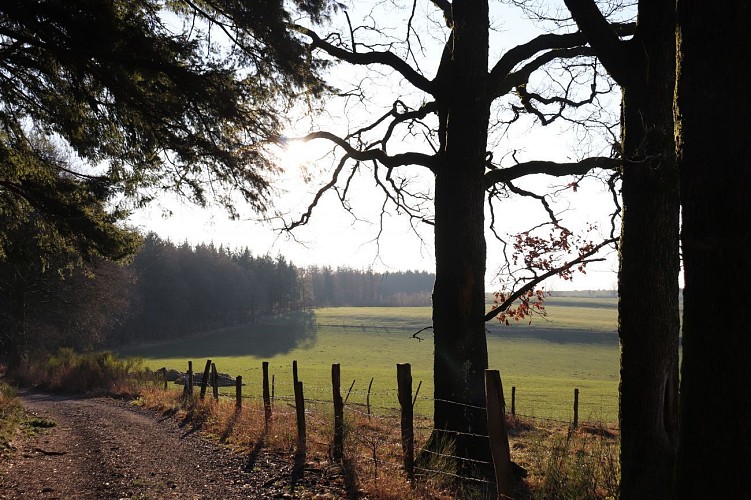 Promenade de la Basse Heveau