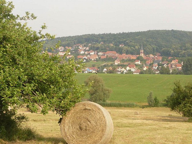 Sonnenberg, Oberbronn, Alsace