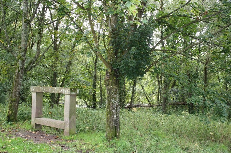 Promenade du Schwarzbach au plan d'eau, Reichshoffen, Alsace