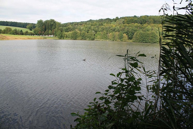 Promenade du Schwarzbach au plan d'eau, Reichshoffen, Alsace