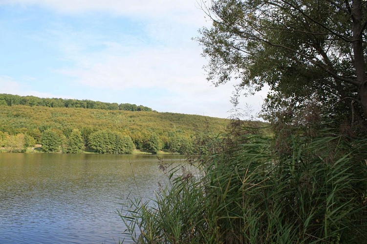 Promenade du Schwarzbach au plan d'eau, Reichshoffen, Alsace