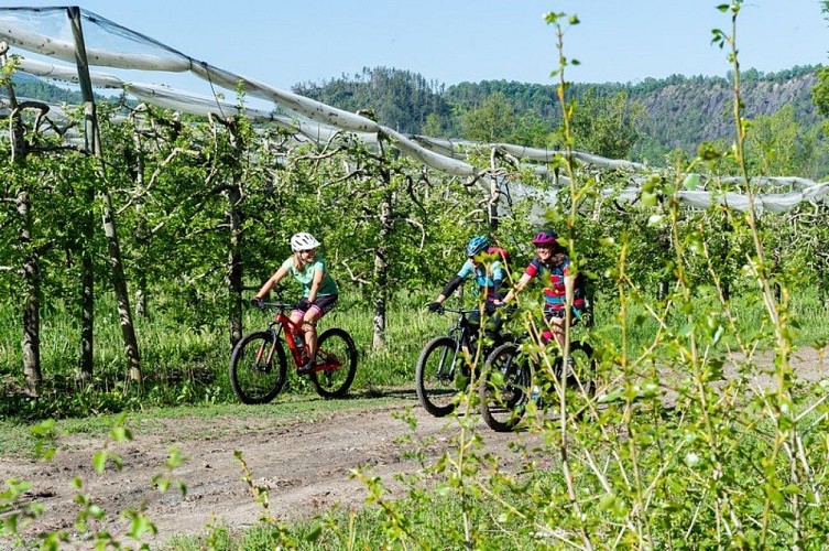 Rouler le long des vergers