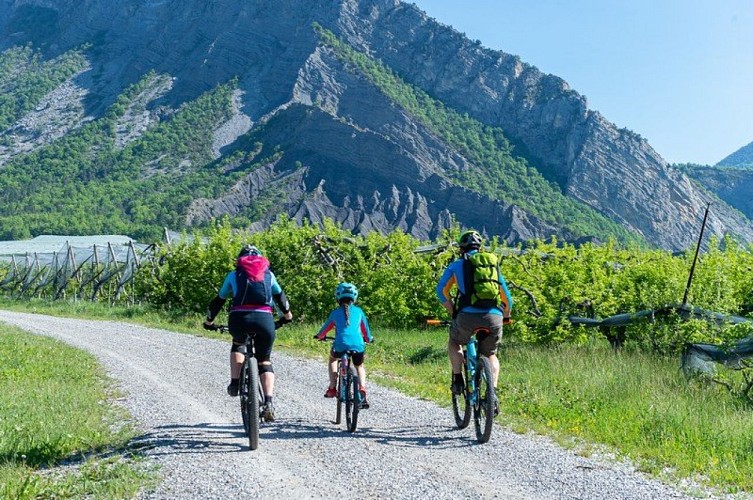 Rouler le long des vergers en famille