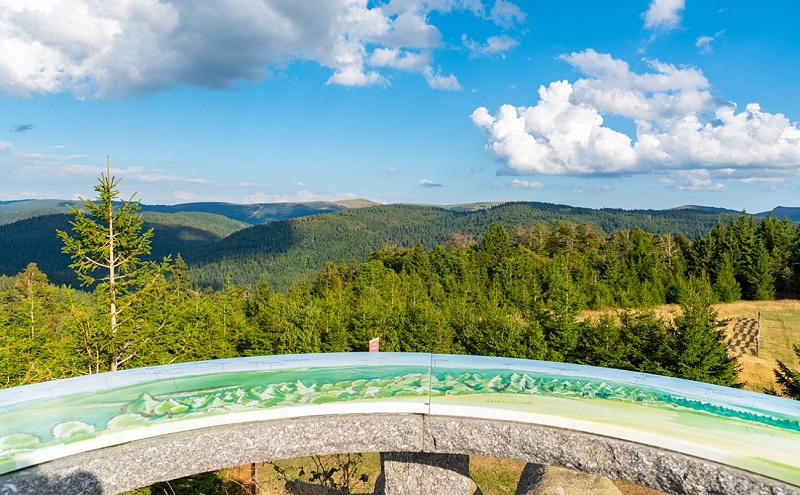 CIRCUIT TRAIL GERARDMER N°6 (BLAU) - TRAIL COURT DE LA VALLÉE DES LACS