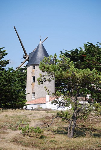 Auf dem Weg durch die Mühlen - Ile de Noirmoutier