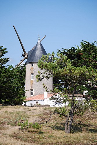 Langs de molens - Ile de Noirmoutier