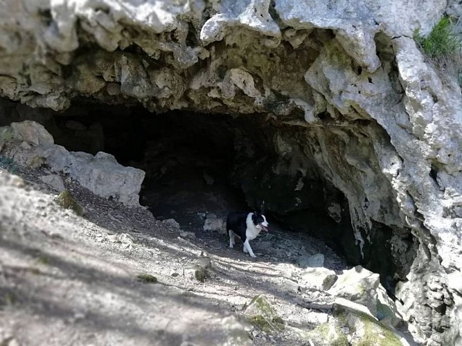 Grottes des dragonnières