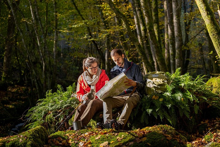 Randonnée en Morvan
