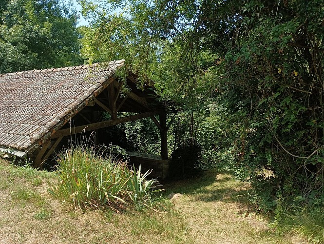 La coulée de la Doue, entre Crézières et La Couturette (1)