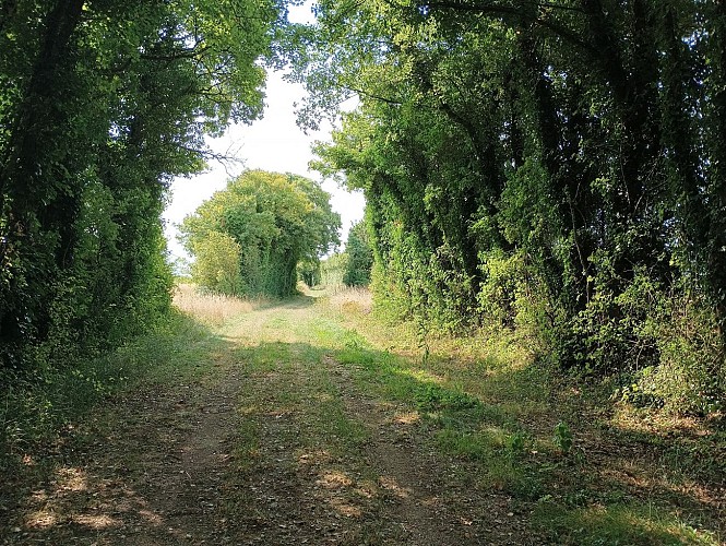 La coulée de la Doue, entre Crézières et La Couturette (2)