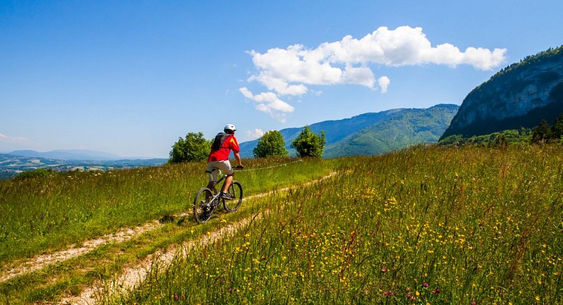 Mountainbike-Strecke 7 - La Cuséenne (Centre VTT-FFC de l'Albanais)