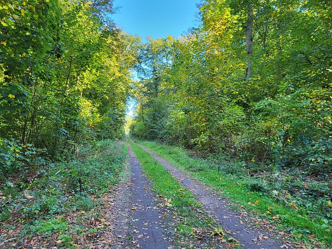 Du Mont César à l'Abbaye de Froidmont (VTT)