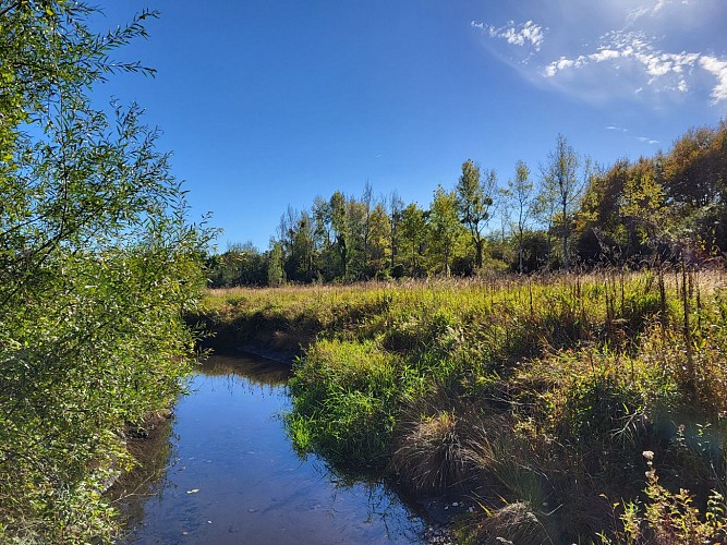 Du Mont César à l'Abbaye de Froidmont (VTT)