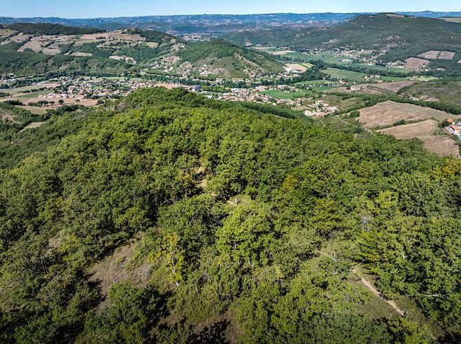 Plongée vers Vabres l'Abbaye