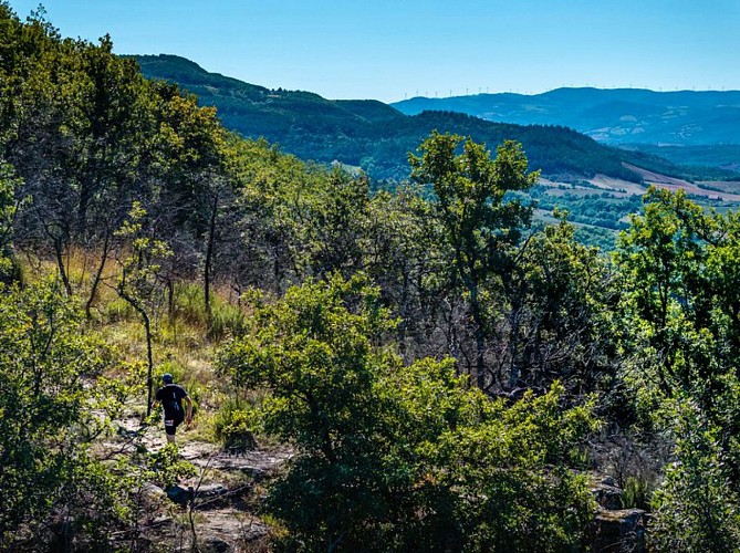 Les hauteurs de Montcamp