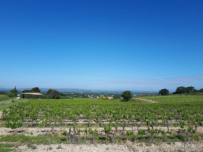 R12 Les Blagiers_Valréas