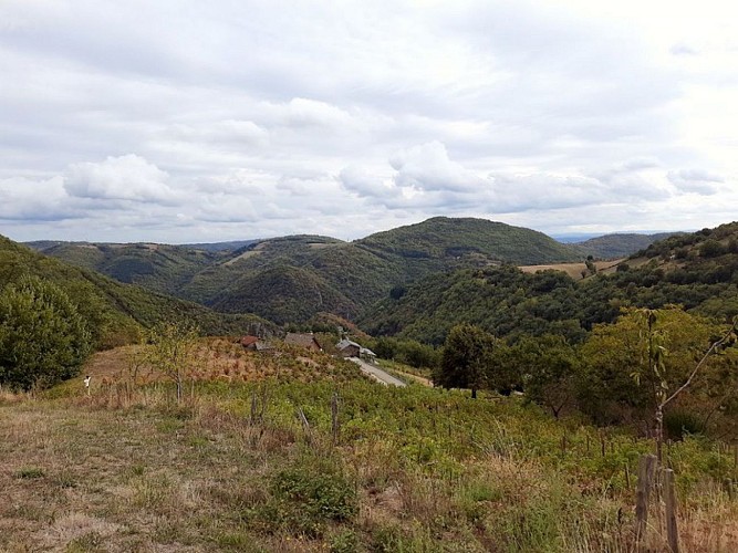 La burgue©association AVA