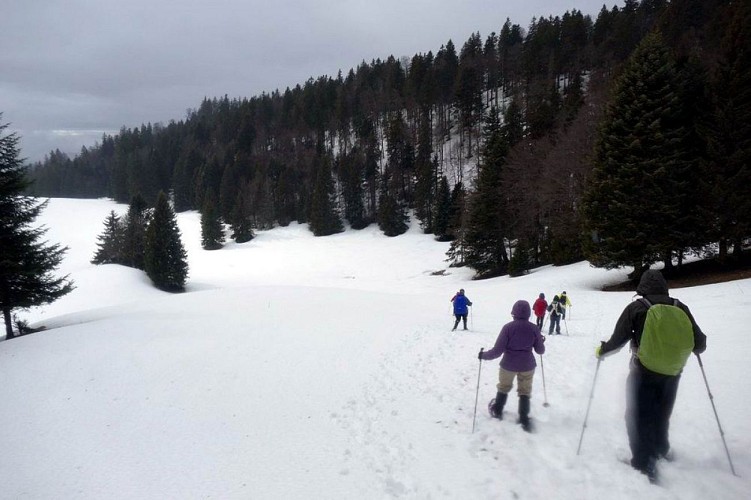 Autour de la cabane Rochefort (Suisse)